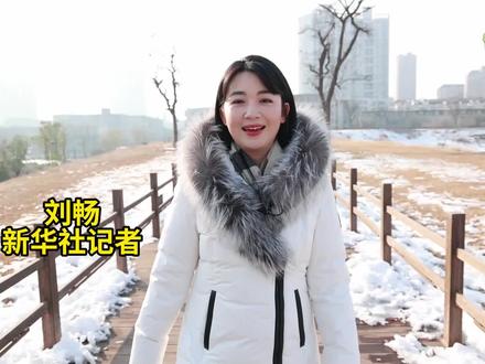 3600多年前,用土夯出来的城墙是什么样子?“镶嵌”在河南郑州市中心的城墙,烟火气的升腾与历史感的厚重,在这里和谐共生。#河南郑州 #秀我中国