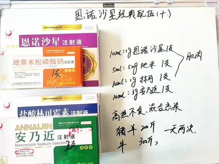恩诺沙星经典配伍(十) #兽医 #三农养殖