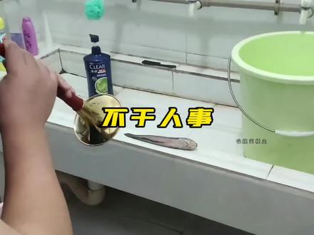 🐶:你知道一个大逼斗对狗狗的伤害有多大吗?#狗狗 #铲屎官疯了 #不干人事