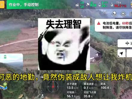 #无人机吊竹子 #炸机 #大疆T100