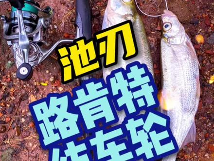 入门纺车轮,池刃路肯特纺车轮1500M型,5.2速比,自带双摇臂+平衡杆#路亚野钓 #路亚翘嘴 #路亚纺车轮推荐 #纺车轮