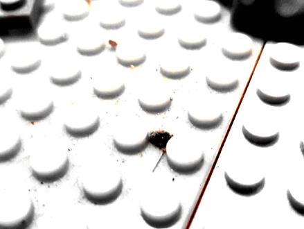 乐高定格动画现代:一只去排除二战武器的小队,找到了丧尸的袭击! #乐高 #特种兵 #定格动画