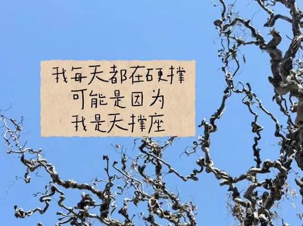 十二星座谐音梗贴纸豆包p图教程来啦!星座谐音梗图片 #星座谐音梗 #星座谐音梗贴纸 #十二星座谐音梗 #豆包ai #豆包出大片有两把刷子 星座谐音梗大全 星座谐音梗贴纸制作 十二星座谐音梗贴纸 贴纸文字 星座谐音梗贴纸抖音 十二星座谐音梗文案 十二星座谐音梗推荐 谐音头像制作 星座谐音梗图片 十二星座谐音梗贴纸大全 星座谐音梗文案 星座谐音梗大全 星座谐音梗图片