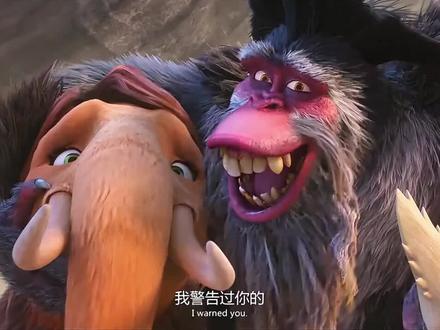 不要为了所谓的朋友忽略了真正的朋友,#有趣的动物