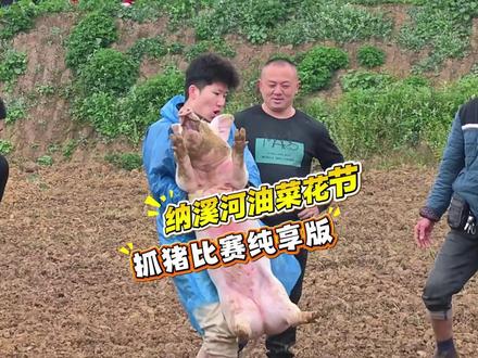 新市街道纳溪河油菜花节,看捡漏王如何在抓猪比赛中一举夺魁!#爆笑名场面 #抓猪 #油菜花 #搞笑 #有意思真有意思