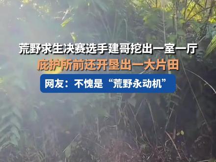 荒野求生决赛选手建哥挖出一室一厅,庇护所前还开垦出一大片田