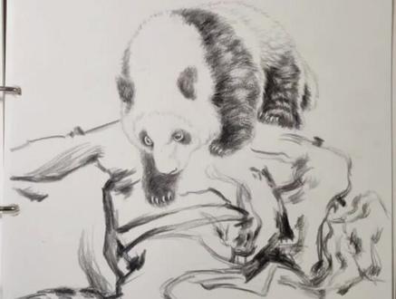 学习用三种不同的笔画毛茸茸的大熊猫#手绘 #绘画过程