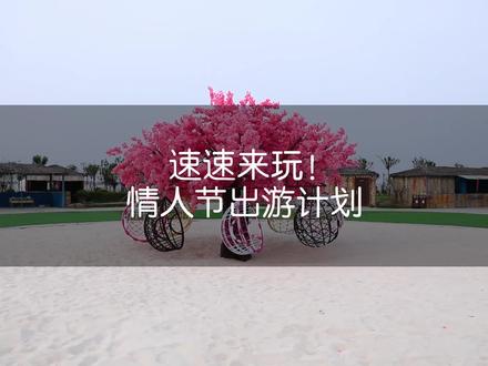 情人节你会带ta去哪玩#情人节#打卡花样菏泽