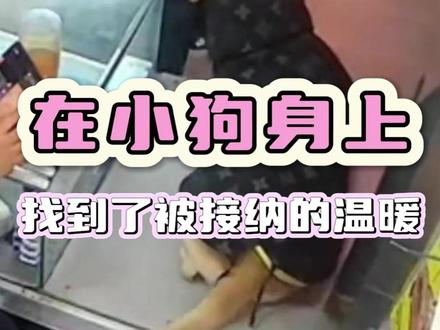 大哥或许尝尽了冷眼与嫌弃,却在小狗的温柔里找回了久违的被接 #正能量 #狗狗 #善意 #流浪