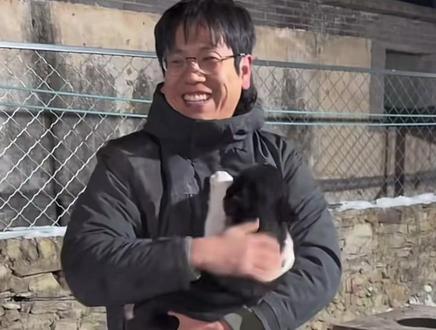 骏良满世界喊裤头,裤头:骏良你记着,你不但给我起了个搞笑名字,还给我摔了个脸着地#骏良的狗 #门头沟小狗 #骏良小助理