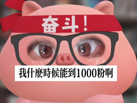 #胡楚靓教做自媒体 互啊 户啊,1000粉啊#跟着胡楚靓做自媒体