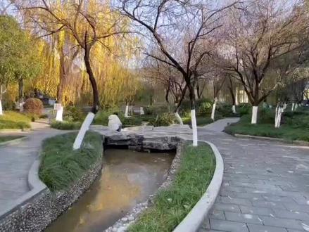 成都闹市中,华西医院内古墓之谜揭开