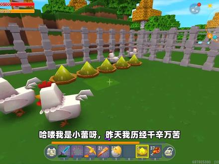 迷你世界高级生存231:小鸡吃饲料变异了,不仅能飞还能当坐骑?