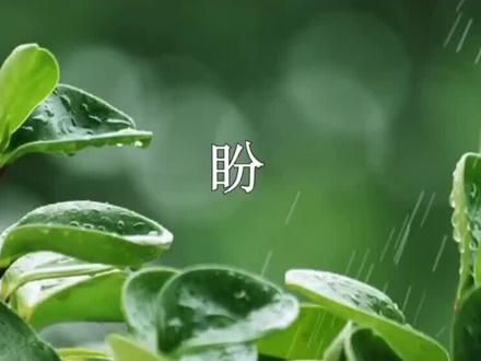 六年级上册语文盼