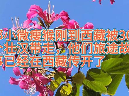 邓小微瘦猴刚到西藏被30个壮汉带走他们旅途故事已经在西藏传开了