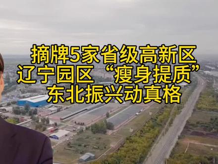 摘牌5家省级高新区:辽宁园区“瘦身提质”,东北振兴动真格