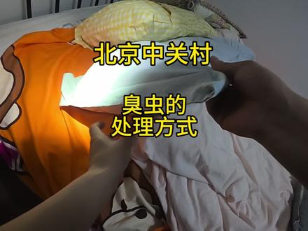 家里有臭虫的宝子们要注意啦!!!#小诺除虫 #臭虫咬人