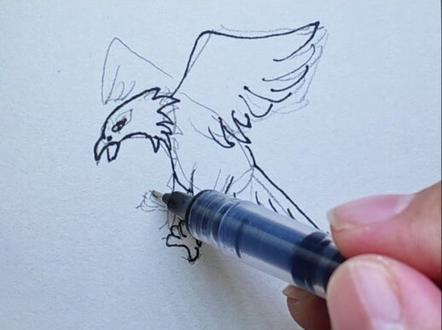 今日分享一只简笔画老鹰🦅
保姆级步骤一学就会