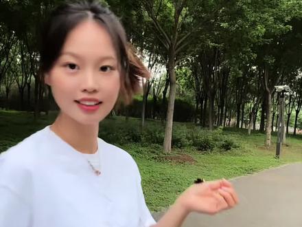 宠物熊蜂饲养指南2.0版 熊蜂#宠物 #授粉 #授粉熊蜂 #vlog十亿流量扶持计划