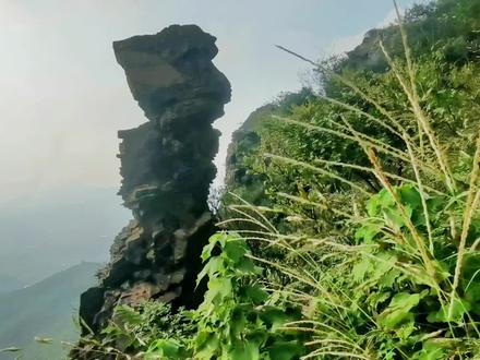 宜兴铜官山猫猫头路线攻略,我的路线少了一只猫耳朵,建议没有人带不要去巨蟒峰,超级难走又难找,完全没有路,今年错过了铜官山溯溪,明年夏天可以来这里溯溪,水质很好。#宜兴铜官山 #铜官山 #户外