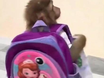 快来看看有你的学校嘛~山东开学最早的专科院校 #山东专升本 #库课专升本 #专科 #开学 #寒假