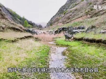 #甘谷县 #西坪镇
西坪七景之鸡毛峡