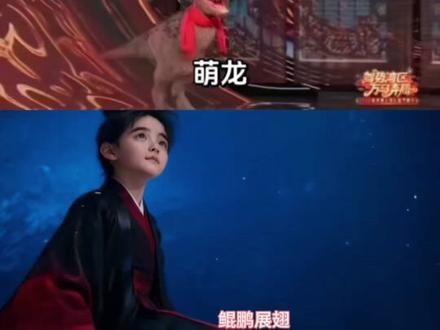 广东卫视 河南卫视太给力了#春晚 #