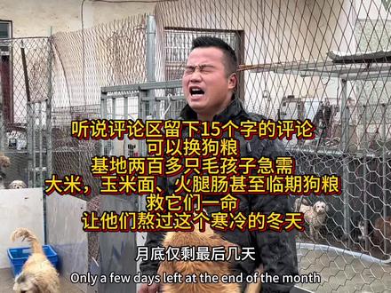 基地的毛孩子们快断粮了,两百多只小家伙的口粮告急,撑过了三年风雨,想陪它们熬过这几天,盼一份温暖相助❤️
#善待动物 #这是个真实的事情 #保护动物 #文明养犬 #爱狗人士