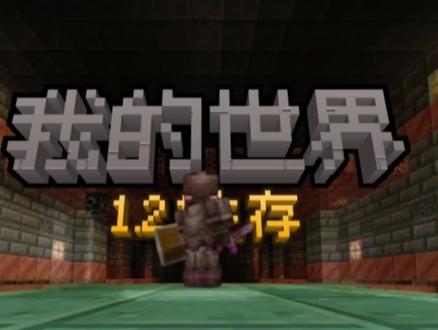 1.21原版生存(1)