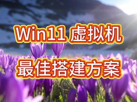 VMWare 免费安装 Windows 11 保姆级教程 本视频教你用 VMWare 免费安装 Windows 11 虚拟机,从软件下载、账号注册,到虚拟机创建、系统安装、优化设置全覆盖。讲解 VMWare 优势与关键参数设置,实现全屏、文件互传等功能,还介绍快照还原技巧,适合新手轻松搭建稳定流畅的 Win11 虚拟机。#Windows11 #VMWare #vmware虚拟机 #Win11虚拟机