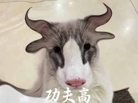 十二生肖猫咪p图豆包ai指令 十二生肖猫咪p图怎么跟豆包说 十二生肖猫咪p图教程 十二生肖猫咪p图豆包 十二生肖猫咪p图豆包口令 十二生肖猫咪 豆包app把猫p成12生肖口令 十二生肖猫咪p图素材 十二生肖猫咪p图ai口令 十二生肖猫咪p图ai 十二生肖ai指令入口十二生肖猫咪p图 豆包把猫p成12生肖指令 十二生肖之猫猫的幻想教程#剪映 #十二生肖猫咪p图ai #十二生肖之猫猫的幻想#十二生肖ai指令入口 猫十二生肖怎么p 十二生肖猫咪p图教程 十二生肖猫咪p图素材 十二生肖猫咪p图特效