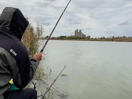 降温大风天,轻口也能钓鲫鱼!#最适合冬天的钓鱼经验来了 #冬天钓鲫鱼有多爽 #解锁秋冬钓鱼爆护的秘密