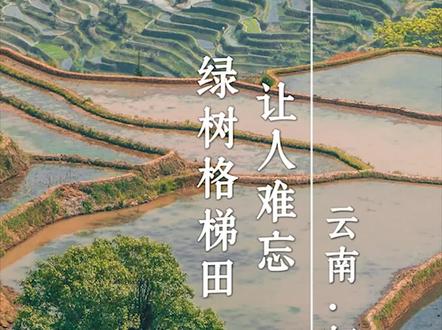 自驾云南|绿树格梯田——哀牢山深处一生必达的诗画远方。绿树格梯田是云南省红河县撒玛坝万亩梯田大景区中的一员,位于他撒村十二龙泉附近,无论规模、形貌还是观赏度均属云南哈尼梯田景观精华。
之前我们逆时针沿撒玛坝大环线自驾,已走过主景区、尼美、杨柳、俄垤等梯田,都是各有特色。没想到看了这么多梯田风光后,这里还能有不重样的景致,真是让人留恋。
请小伙伴与我们一起走进绿树格梯田的世界。
▶️所有视频均为某狗先生与采采卷耳原创拍摄及制作。
▶️以上内容根据个人旅行经历总结,如有疏漏请谅解。
▶️受时效影响,部分场景可能有所变化,以当前为准。
▶️采采卷耳与某狗先生旅行过的所有景点轿车均可达。
▶️地址定位信息由网站提供,如需更详细信息请留言。
🔸🔹🔸
喜欢自驾游,又不走寻常路的你,请听采采卷耳娓娓道来。
#跟着中国国家地理镜收山河 #一生总要去一次吧 #真的很summer #属于我的圣地巡礼 #云南自驾游