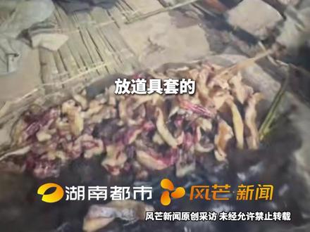 “张家界七星山”荒野求生挑战赛 谁在造谣?“荒野建哥兄弟”捕小猪被疑投喂 回应:不想被搞事才偷偷处理#张家界七星山 #荒野建哥