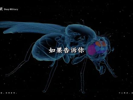 果蝇大脑被上传进电脑,意识永生不再是科幻 #果蝇 #科学 #科技 #时事热点