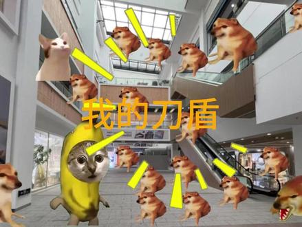 我的刀盾. 比比拉布#猫meme