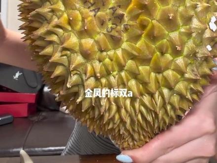 一次连开四个金凤壹号榴莲!生无可恋全军覆没 拉完了…
#网购翻车 #榴莲开箱视频 #金凤壹号 #榴莲控 #榴莲盲盒