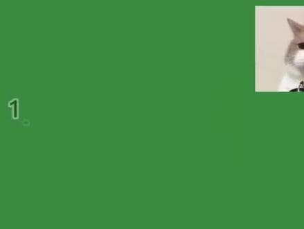 #熊猫汇款#推荐大家使用 #@DOU+小助手