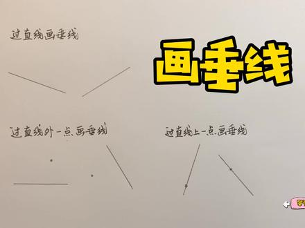 看完这一讲,不管过不过点画垂线,谁看谁学会
