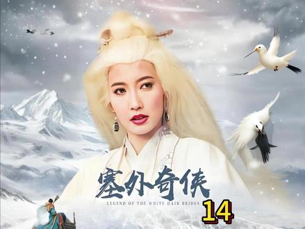 塞外奇侠:一枚独门暗器飞雪狐直指白发魔女 楚昭南成最大赢家 #影视解说 #好剧推荐 #回忆老剧 #电视剧 #武侠