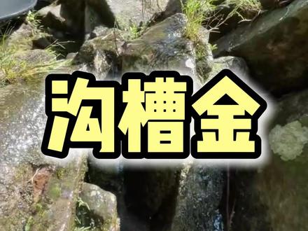 可遇不可求的小黄鱼窝,你们觉得可以么#淘金 #寻宝 #户外 #钓鱼 #捡石头