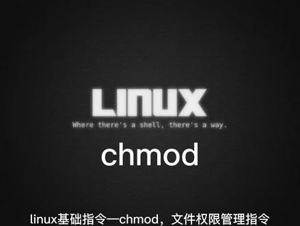 linux基础指令—chmod指令
#linux运维 #linux命令 #linux自学 #文件权限管理 #chmod