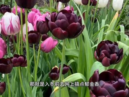 现在假货都这样了吗?#科普一下