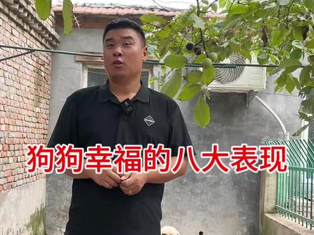 狗狗生活很幸福的八大表现#养狗经验分享 #科学养宠攻略 #新手养狗