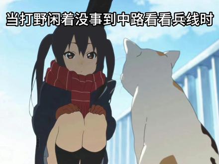当打野闲着没事来到中路时..... #王者荣耀 #干嘛猫