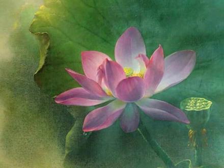 善导大师净土思想|面向与行法#南无阿弥陀佛 #佛度众生结下善缘 #愿众生离苦得乐平安吉祥 #愿世界和平无战争无疾病无灾难