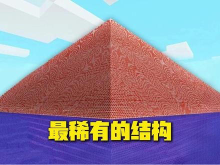 最稀有的建筑结构是什么? #我的世界