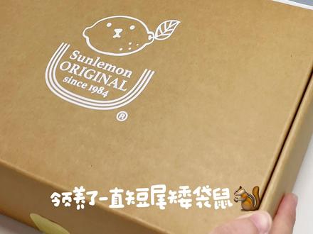 太喜欢毛绒玩具了 我的新朋友#购物分享