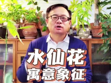 水仙花的寓意和象征 #水仙花 #水仙 #阳台花园 #鲜花养护 #花花草草