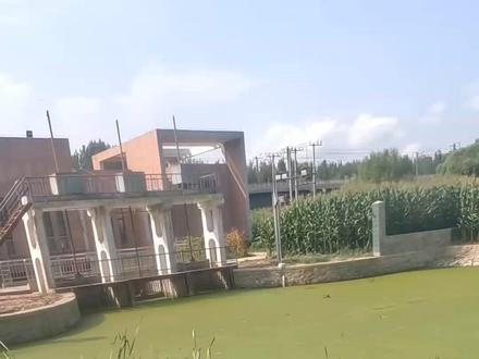 #雷强 雷强竿该怎么选,看完以后可能会帮到你@抖音热点